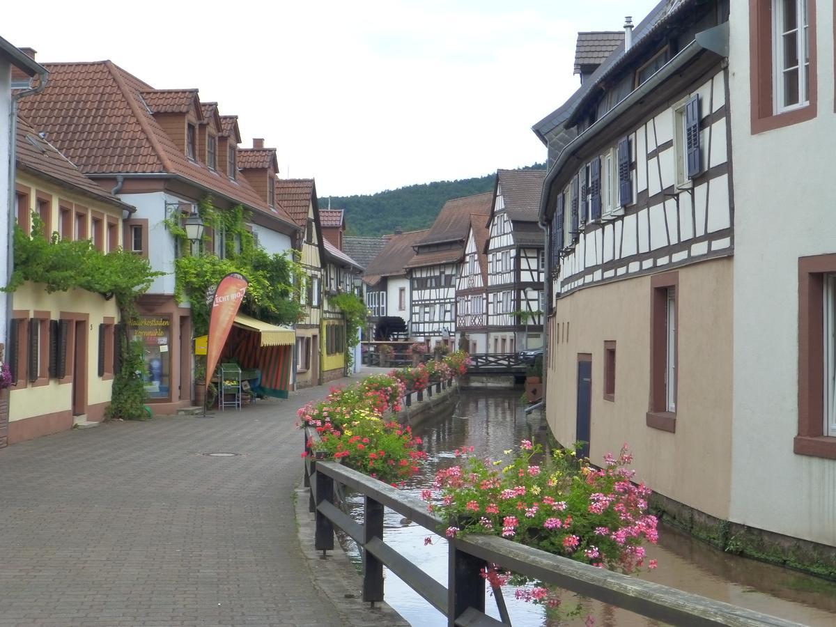 Villa Waldfrieden - Design Trifft Budget Annweiler am Trifels Bagian luar foto